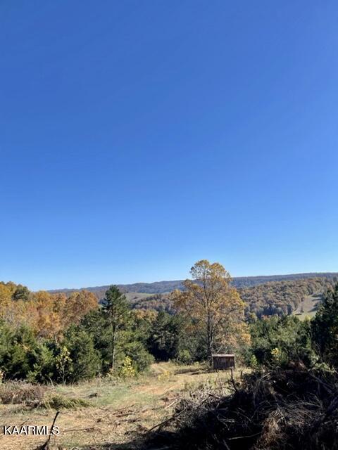 68-acres Little Valley Road Tazewell, TN 37879 - Photo 22 of 51 869EDF44-FE08-4049-A5F0-EF0C7CA4BD0E
