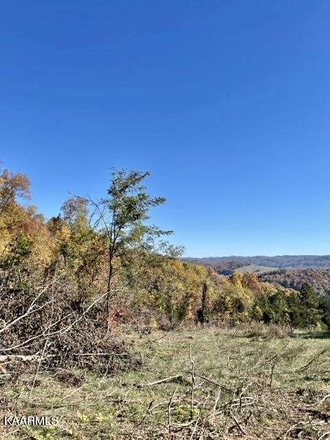 68-acres Little Valley Road Tazewell, TN 37879 - Photo 27 of 51 1AD4503C-2508-4BAA-B523-C199E4DF6AFD