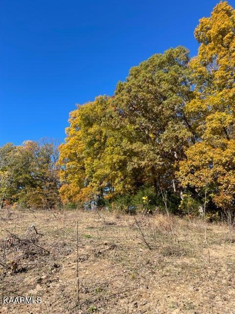 68-acres Little Valley Road Tazewell, TN 37879 - Photo 30 of 51 C99F7A59-64C0-4AEF-BB75-228FA4F8F45B