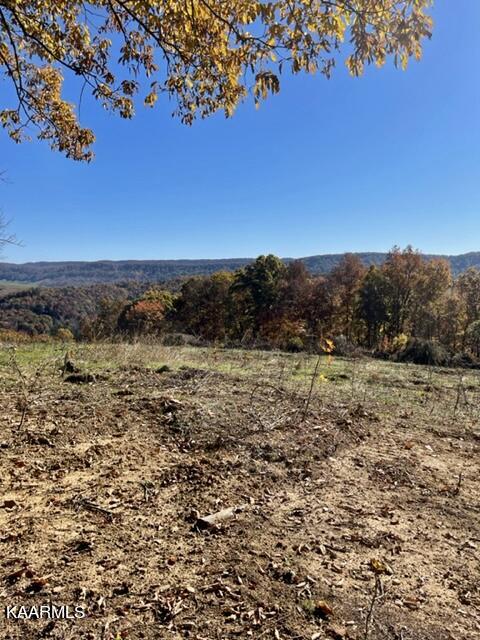 68-acres Little Valley Road Tazewell, TN 37879 - Photo 38 of 51 2A626B60-CC1F-4BBA-8F0E-CD2CCAF3DA6E