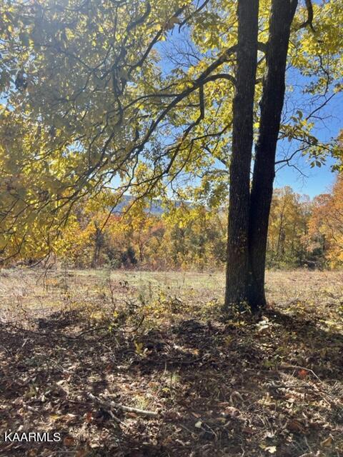 68-acres Little Valley Road Tazewell, TN 37879 - Photo 41 of 51 82839E63-2B8A-4667-941C-93352BA7F6E3