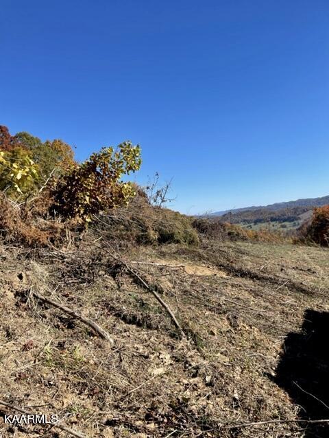68-acres Little Valley Road Tazewell, TN 37879 - Photo 48 of 51 91E9658A-EBAA-44F7-A158-587F3231535F