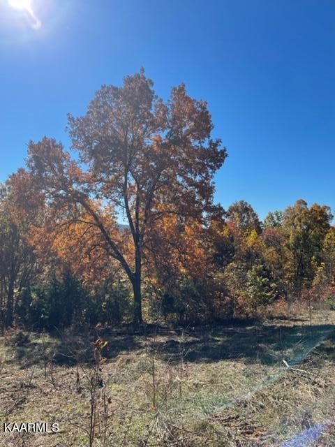 68-acres Little Valley Road Tazewell, TN 37879 - Photo 49 of 51 6F272B0D-FCBA-4429-87F3-5B0B2FC88414