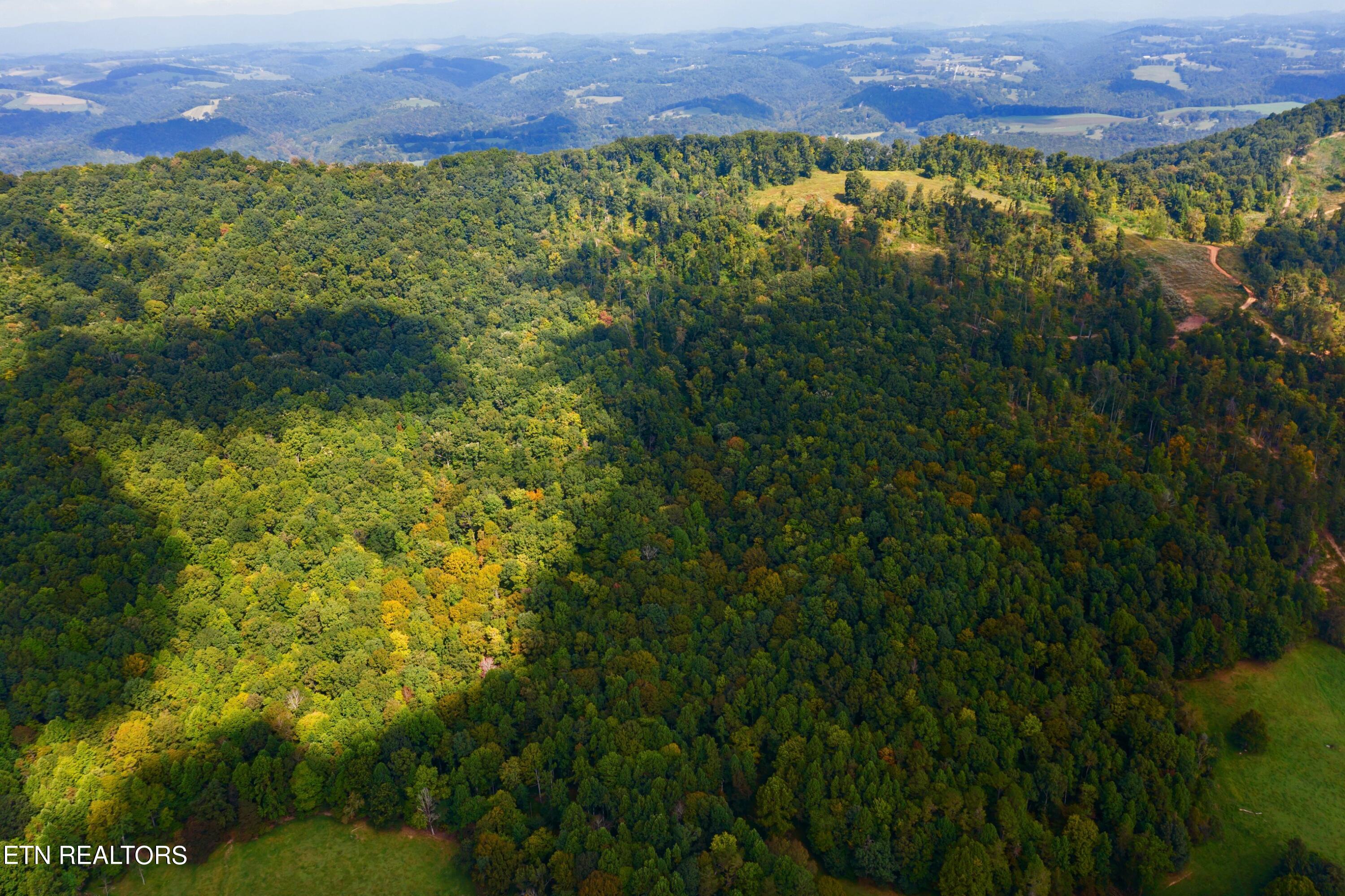 68-acres Little Valley Road Tazewell, TN 37879 - Photo 5 of 51 DJI_0833.jpg-SMALL