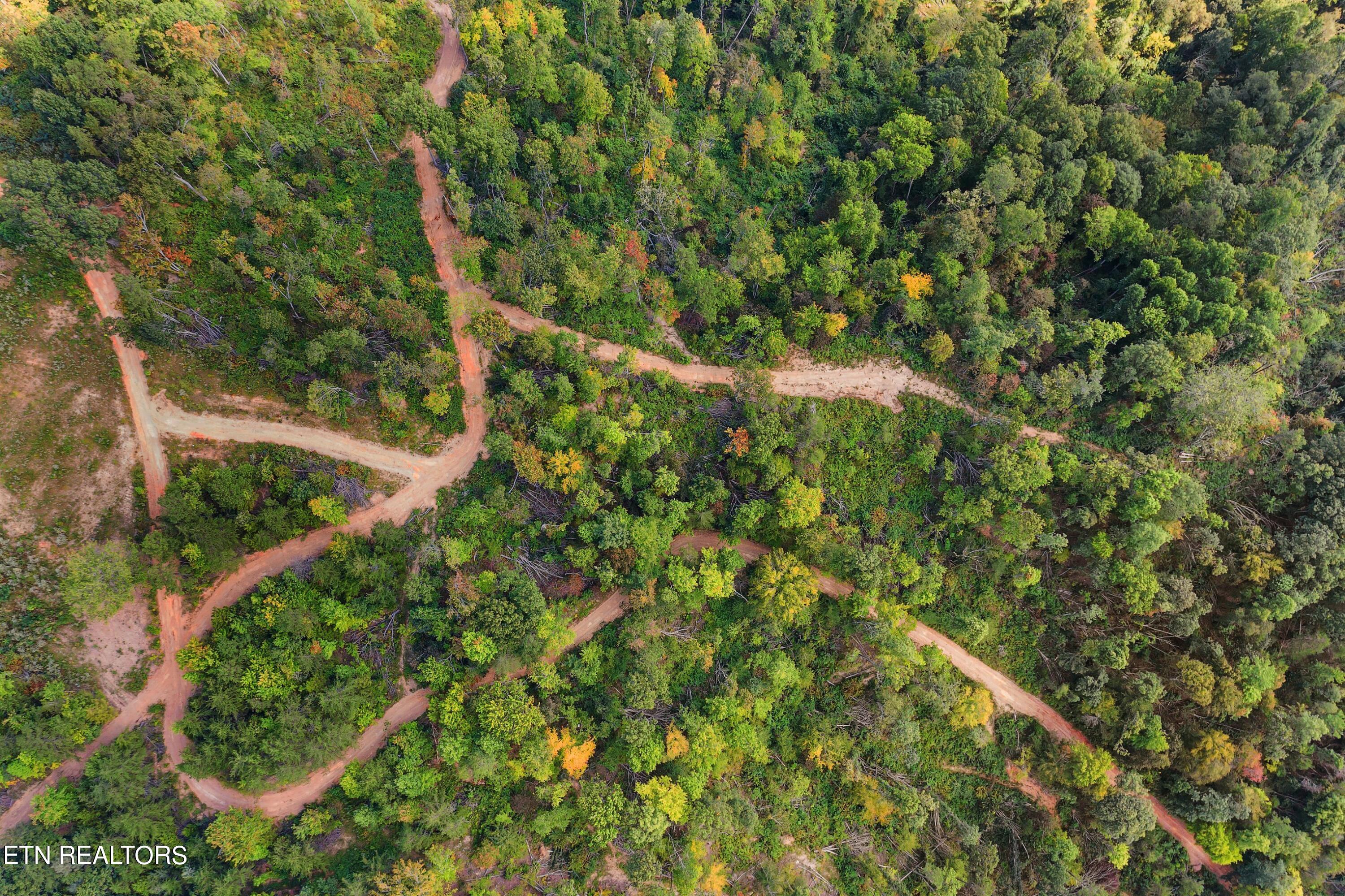 68-acres Little Valley Road Tazewell, TN 37879 - Photo 9 of 51 DJI_0853.jpg-SMALL