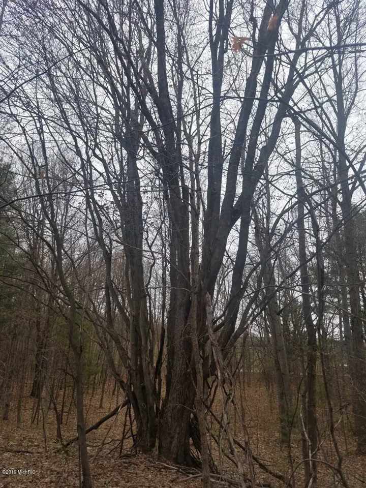 V/l East Yale Road, Unit PAR A Hesperia, MI 49421 - Photo 11 of 22 Gallery Image 11