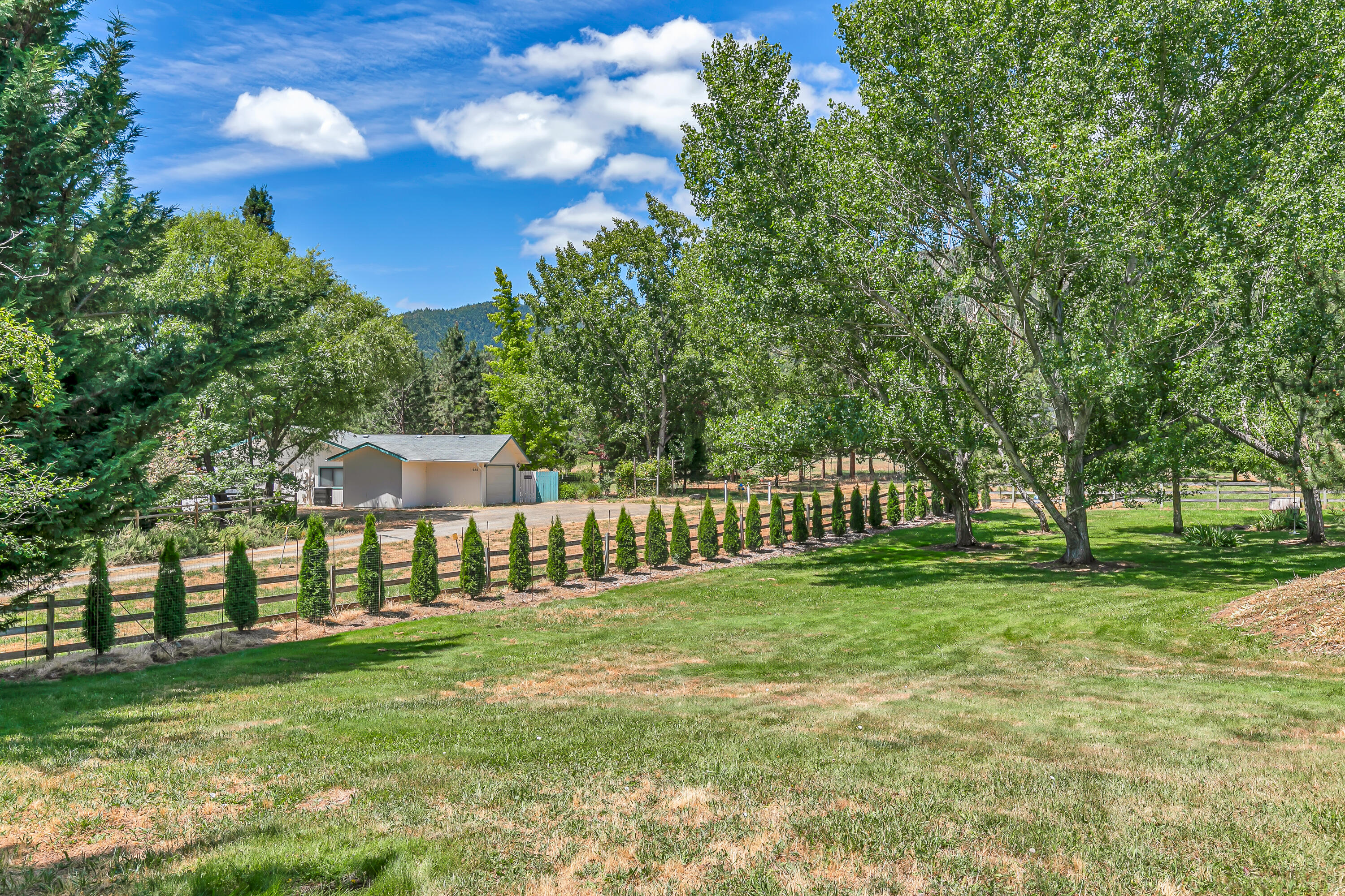 550 Pair A Dice Ranch Road Jacksonville, OR 97530 - Photo 55 of 83 9R9A9245