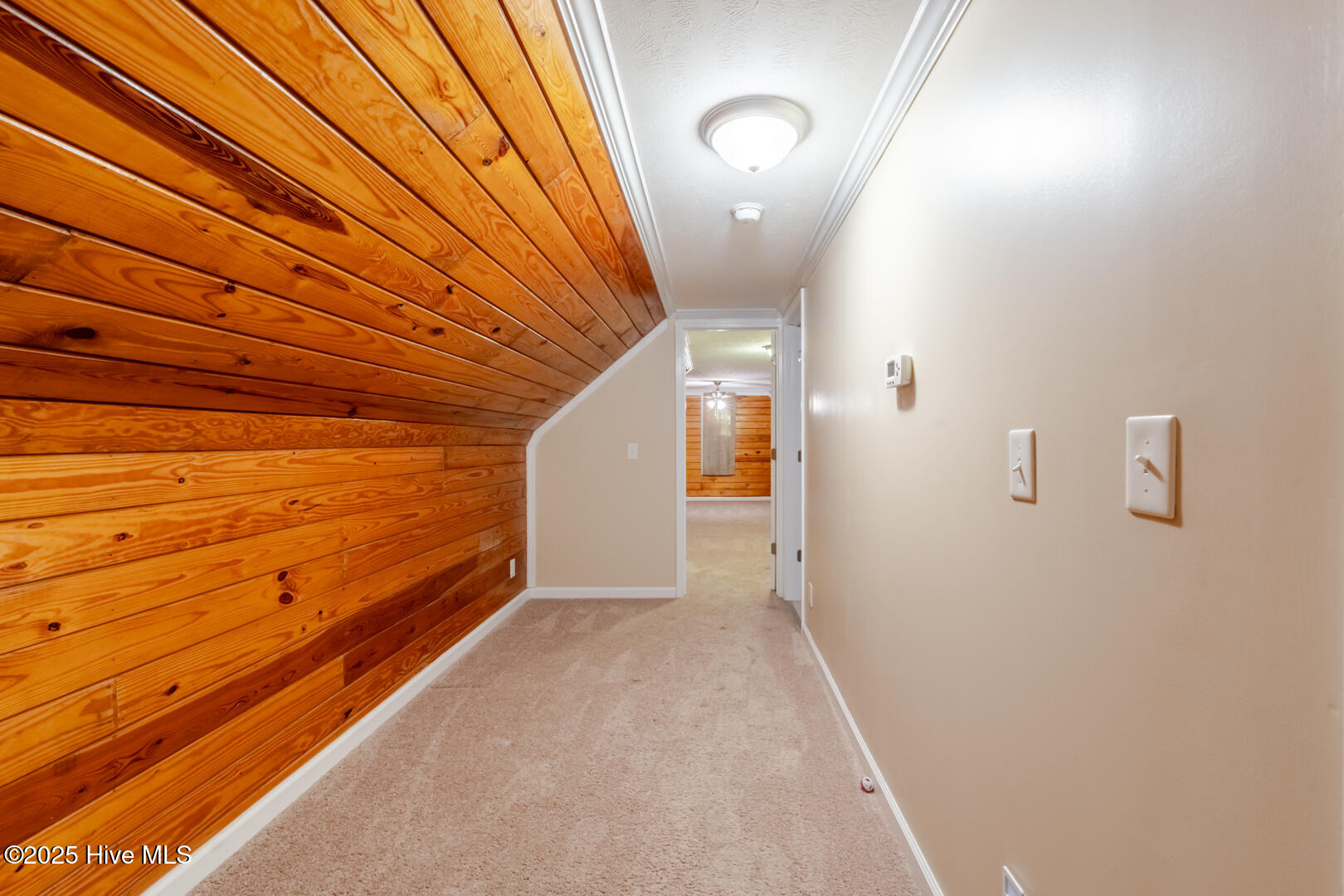 1414 Pine Acres Road White Oak, NC 28399 - Photo 21 of 43 PineAcres_ZoeyLensPhotography-24