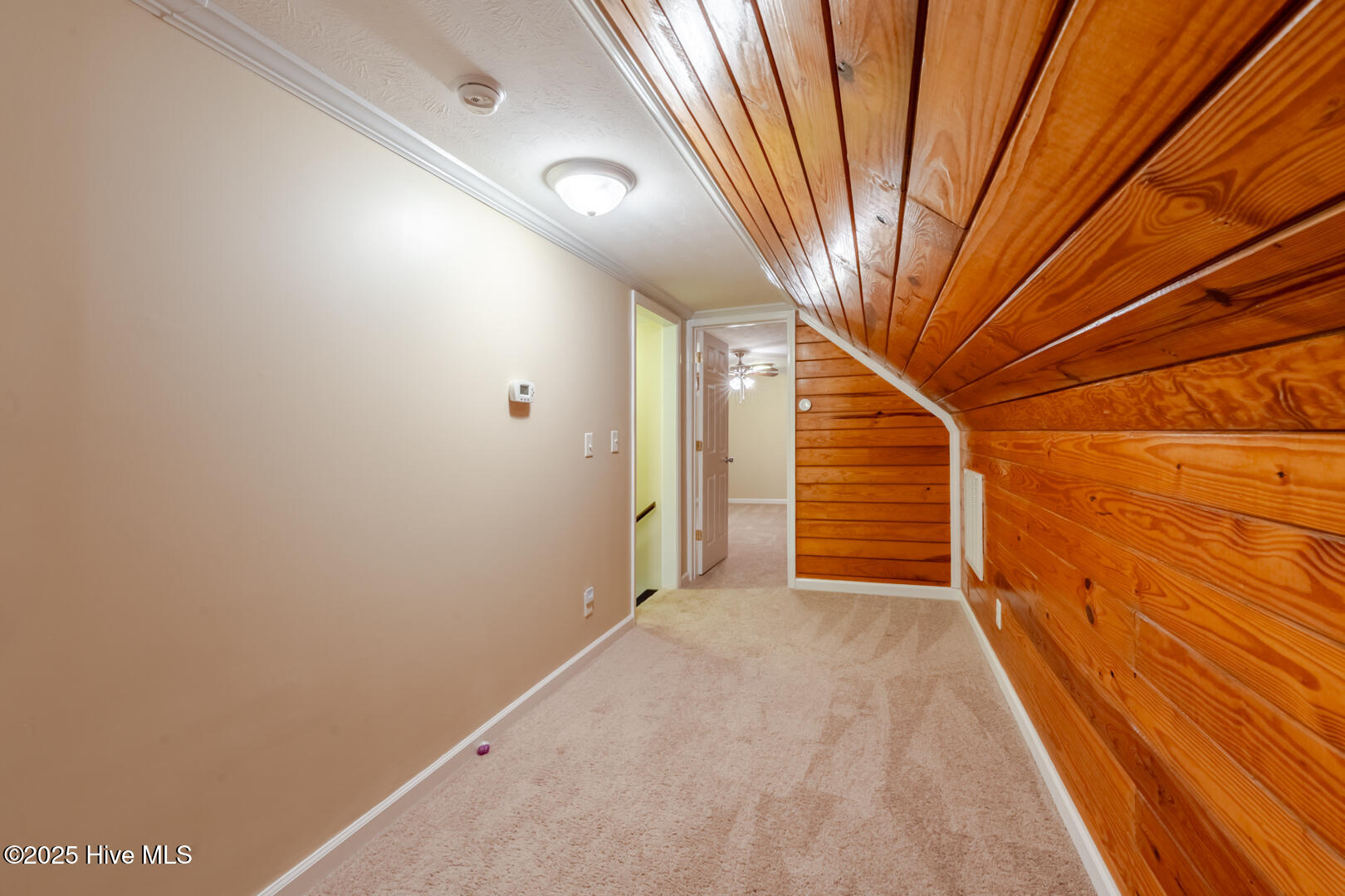 1414 Pine Acres Road White Oak, NC 28399 - Photo 29 of 43 PineAcres_ZoeyLensPhotography-19