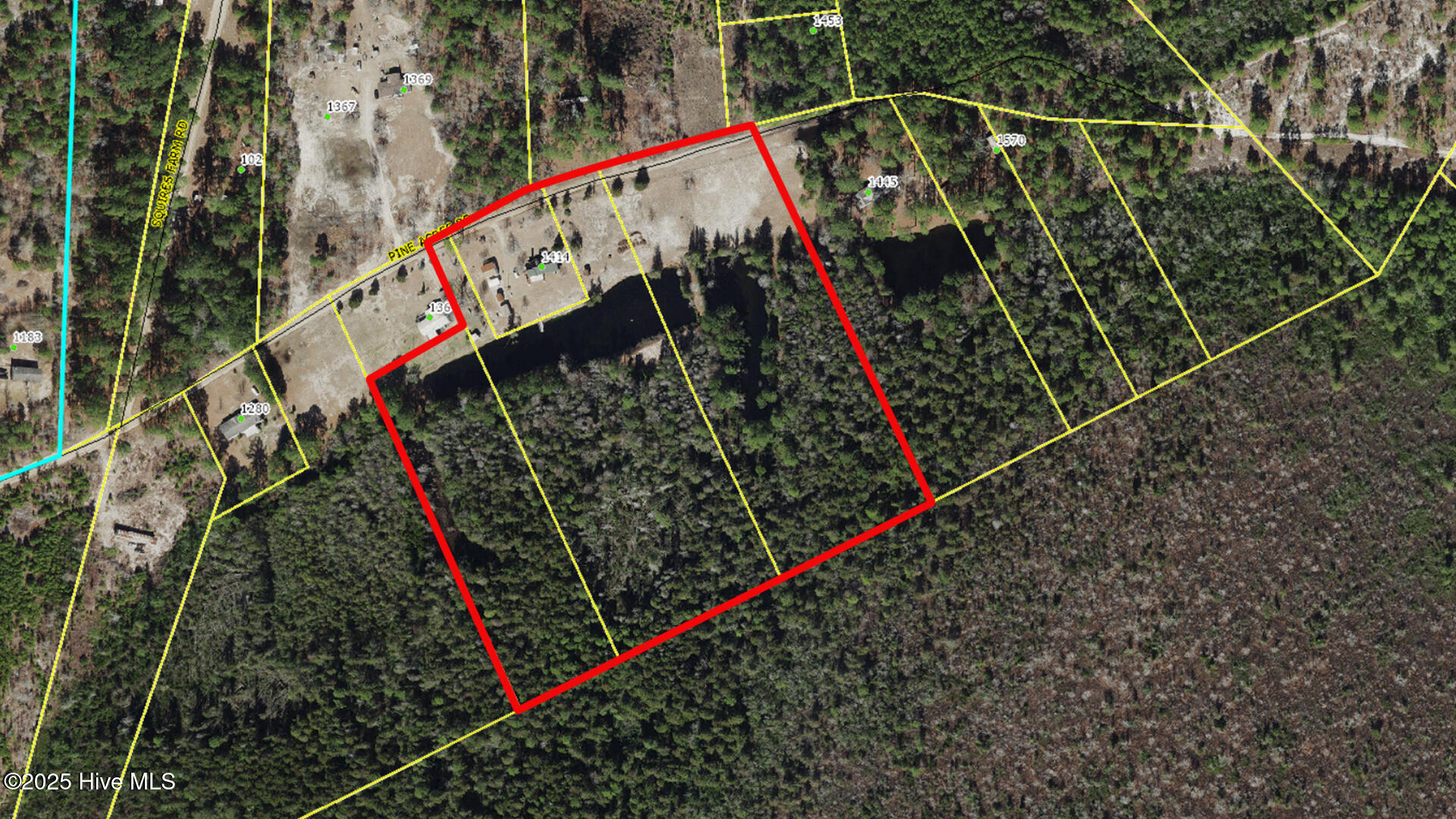 1414 Pine Acres Road White Oak, NC 28399 - Photo 43 of 43 GIS Map