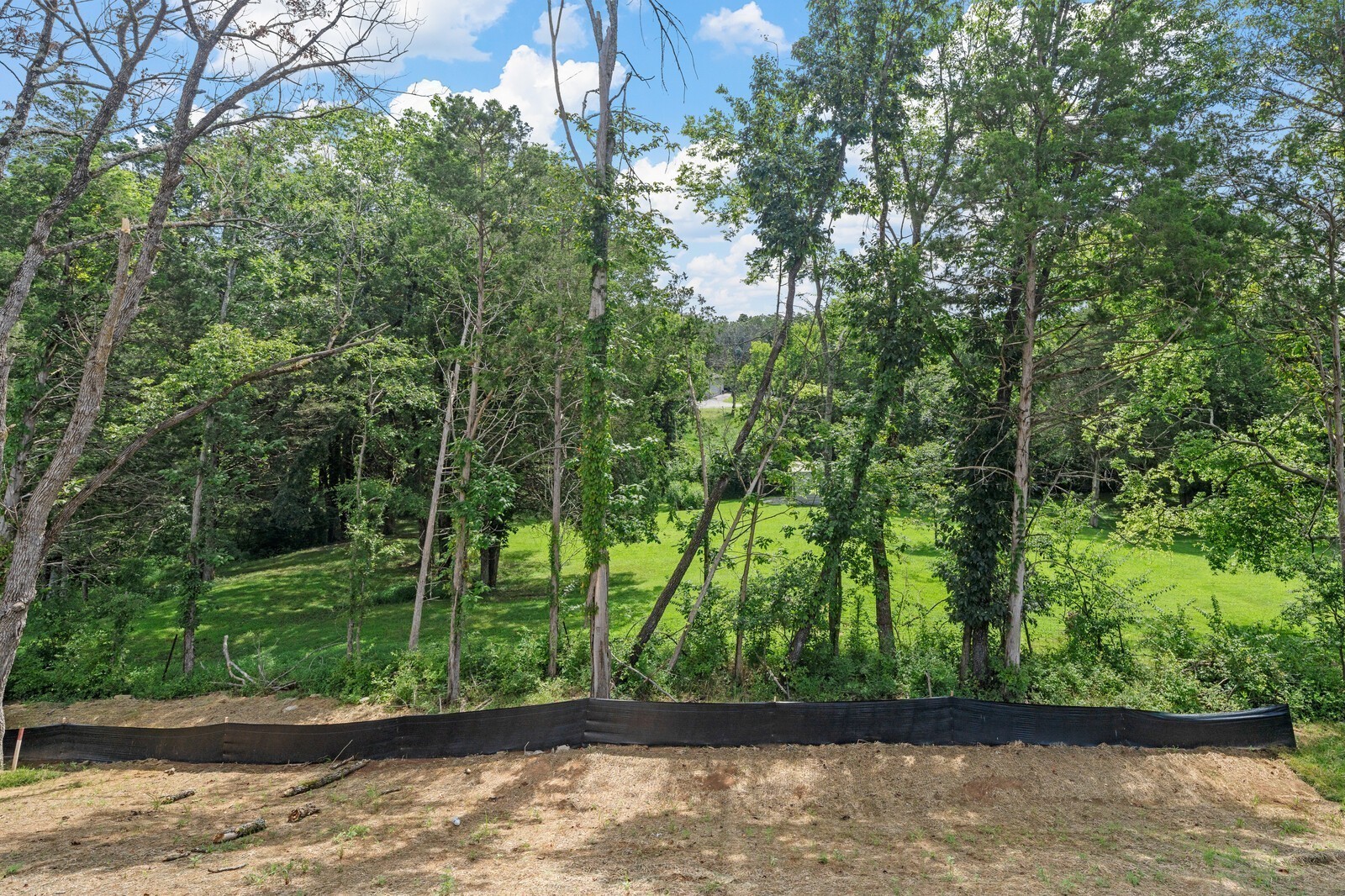 1040 Cherry Tree Drive Mount Juliet, TN 37122 - Photo 42 of 47 a view of a yard with a large trees