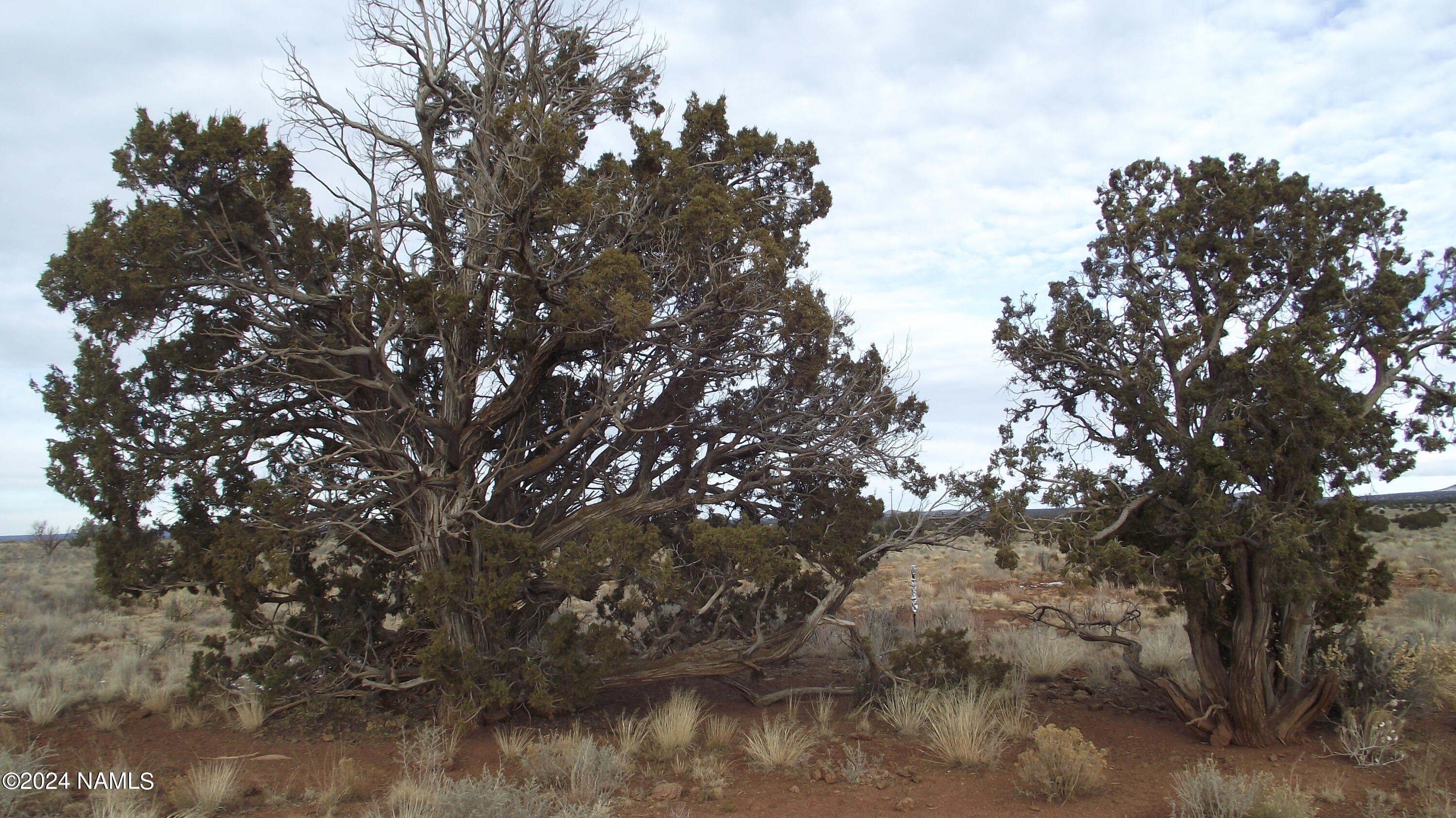 3671 Carmen Road, Unit 353 Williams, AZ 86046 - Photo 1 of 10 DSCF6807