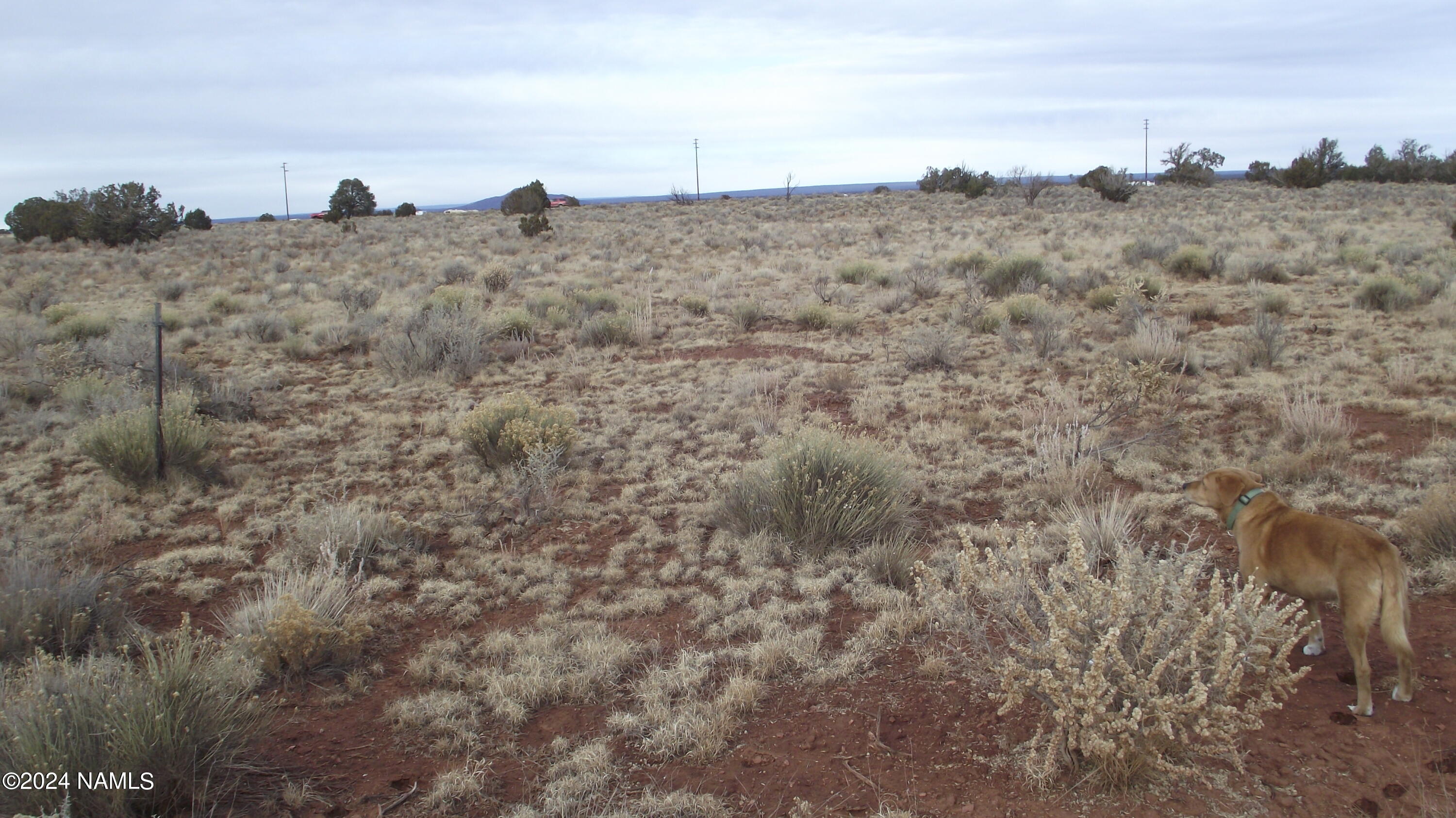 3671 Carmen Road, Unit 353 Williams, AZ 86046 - Photo 5 of 10 DSCF6804
