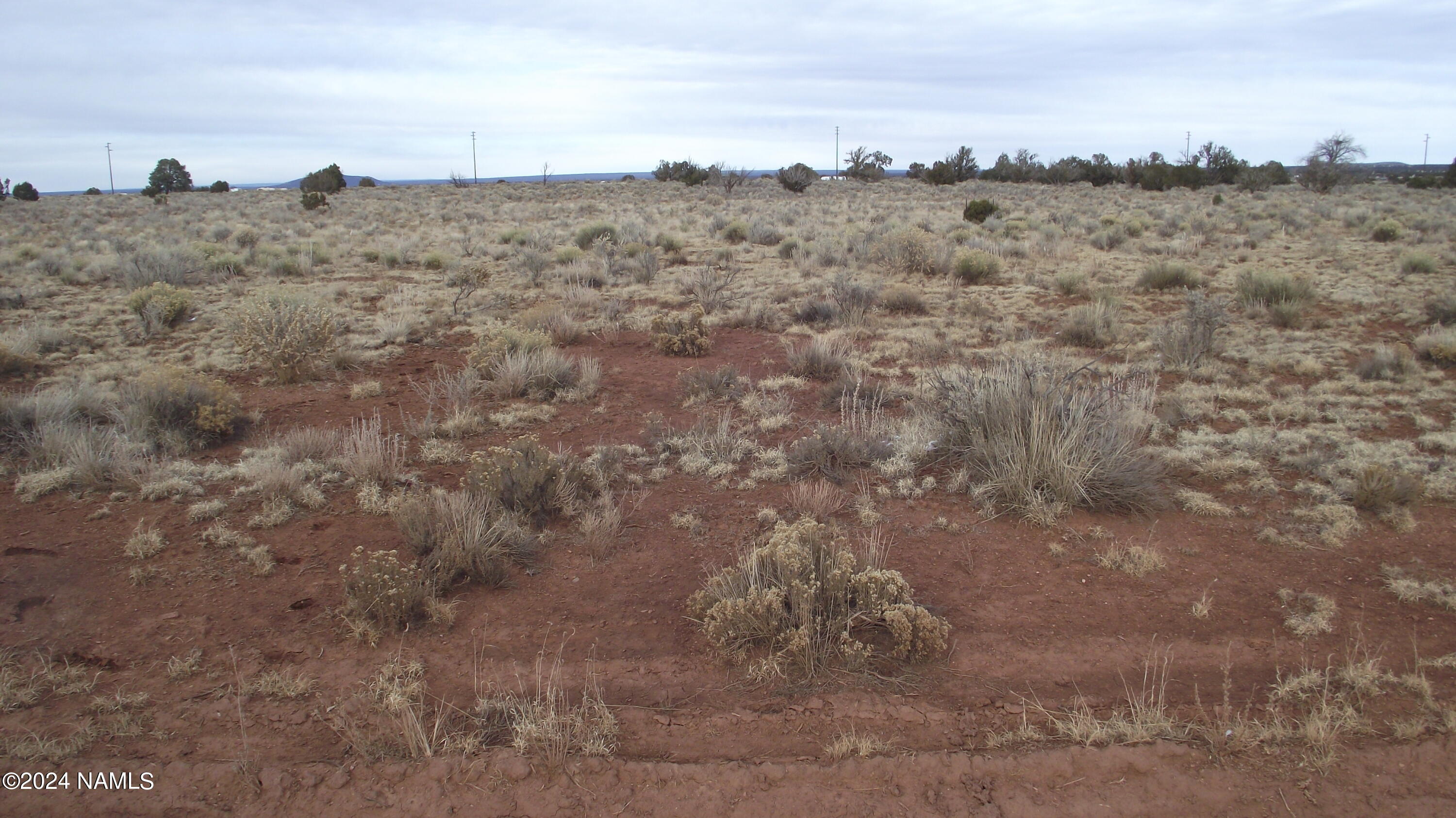 3671 Carmen Road, Unit 353 Williams, AZ 86046 - Photo 7 of 10 DSCF6806