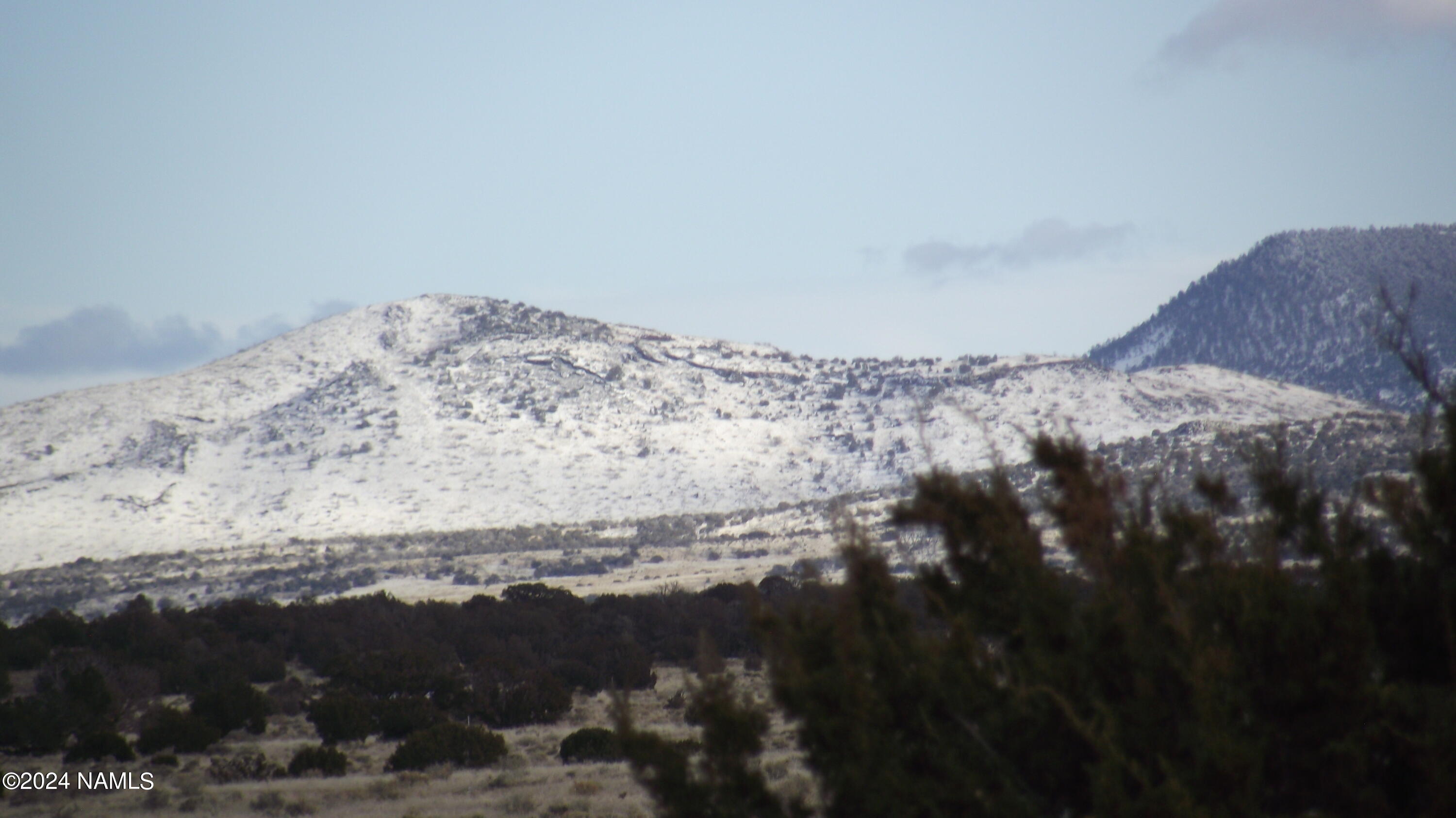 3671 Carmen Road, Unit 353 Williams, AZ 86046 - Photo 8 of 10 DSCF6810