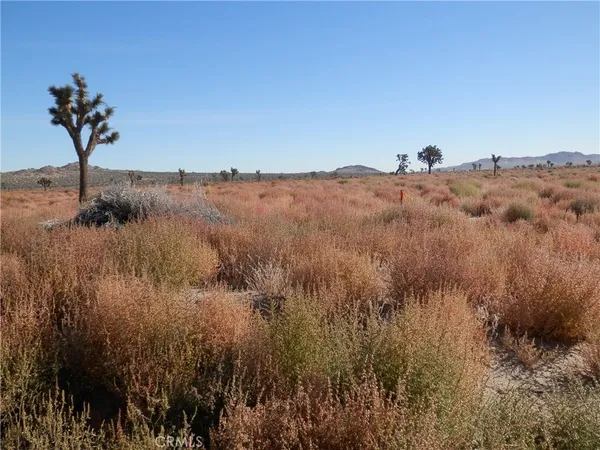 $18,000 | 0 East 110 E / Avenue, Palmdale, CA 93591