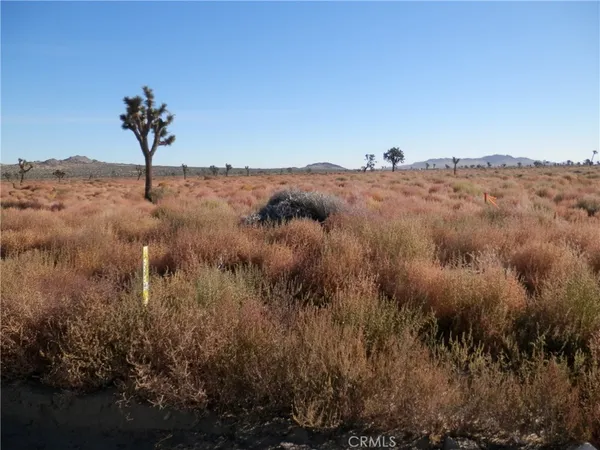 $18,000 | 0 East 110 E / Avenue, Palmdale, CA 93591