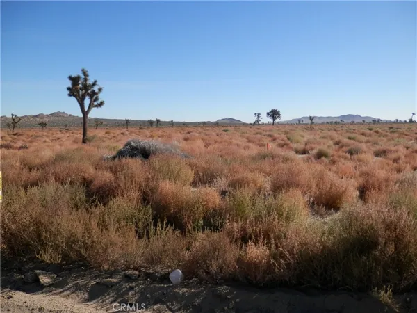 $18,000 | 0 East 110 E / Avenue, Palmdale, CA 93591