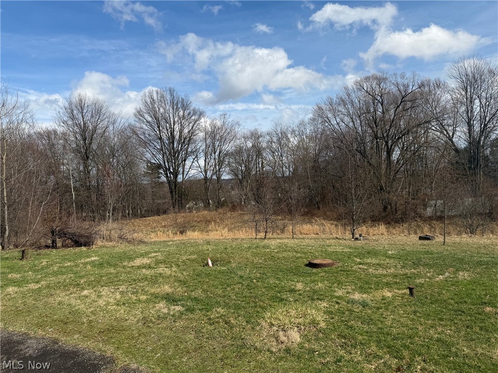 Anna Circle Struthers, OH 44471 - Photo 6 of 9