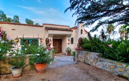 a view of a backyard with potted plants