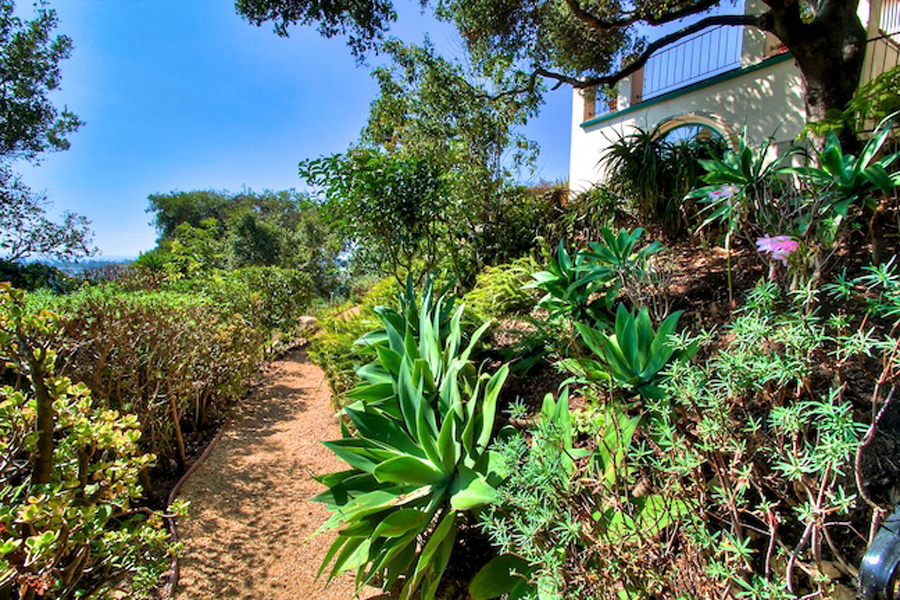 1010 Garcia Road Santa Barbara, CA 93103 - Photo 19 of 20 a plant that is in a garden