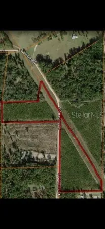 a view of a yard