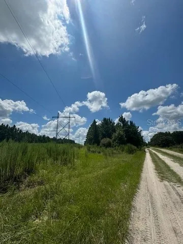 a view of a bunch of trees and bushes