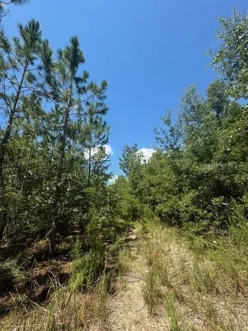 a view of a lake in middle of the town