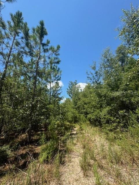 Southwest Coles Court Fort White, FL 32038 - Photo 20 of 34 a view of a green field