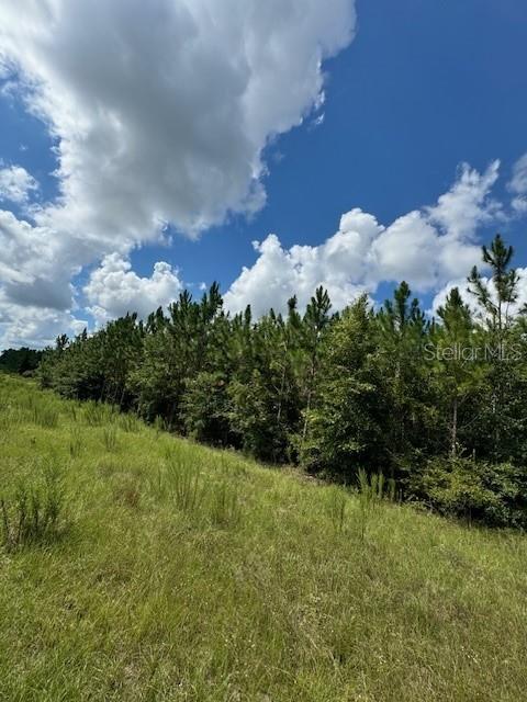 Southwest Coles Court Fort White, FL 32038 - Photo 2 of 34 a view of a lake with a yard