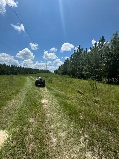 Southwest Coles Court Fort White, FL 32038 - Photo 23 of 34 a view of a lake in middle of the town