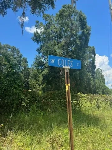 a view of backyard with garden and entertaining space