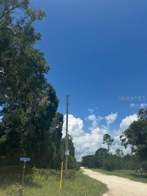 Southwest Coles Court Fort White, FL 32038 - Photo 26 of 34 a view of a yard