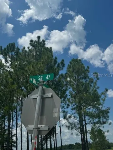 a big yard with lots of green space