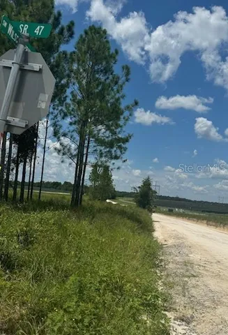 a view of a road with a yard