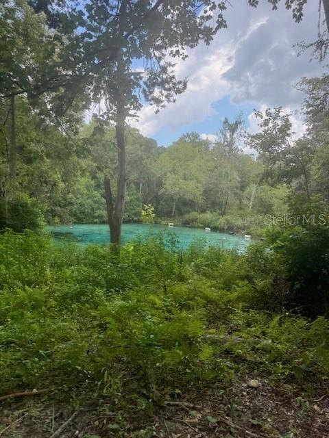Southwest Coles Court Fort White, FL 32038 - Photo 32 of 34 a big yard with lots of green space