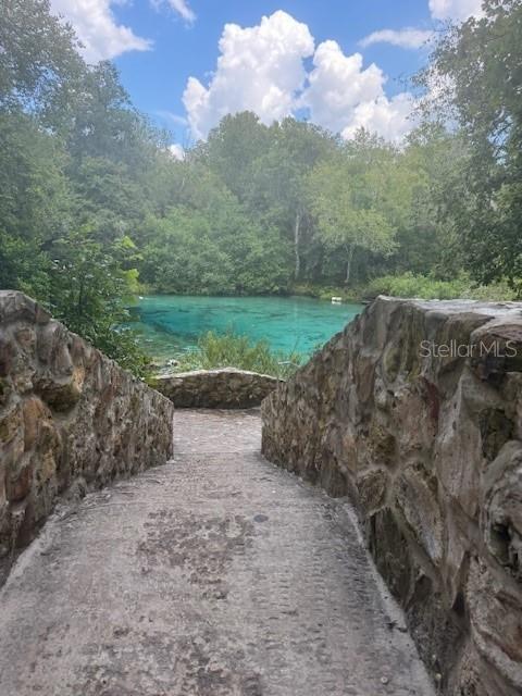 Southwest Coles Court Fort White, FL 32038 - Photo 33 of 34 a view of a road with a yard