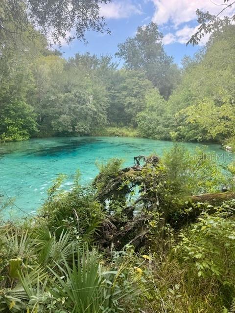 Southwest Coles Court Fort White, FL 32038 - Photo 34 of 34 a view of a lake with a yard