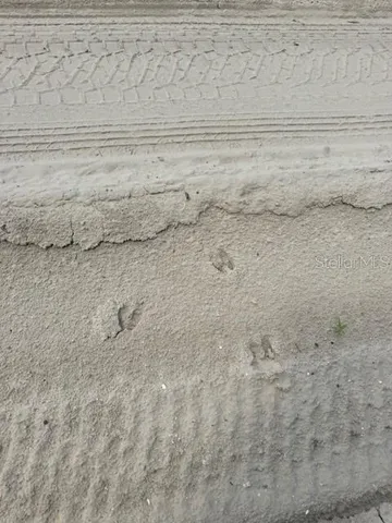 a view of a lake with a yard