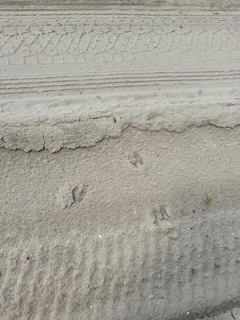 Southwest Coles Court Fort White, FL 32038 - Photo 4 of 34