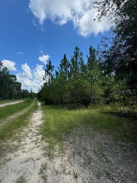 Southwest Coles Court Fort White, FL 32038 - Photo 5 of 34 a view of a lake with a yard