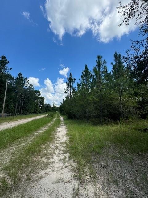 Southwest Coles Court Fort White, FL 32038 - Photo 6 of 34 a view of a lake with a yard