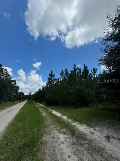 Southwest Coles Court Fort White, FL 32038 - Photo 7 of 34