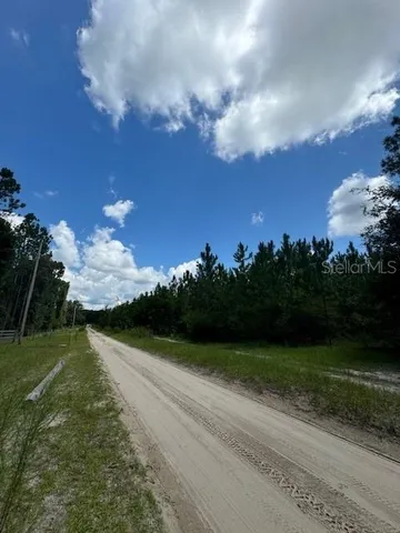 a view of a bunch of trees