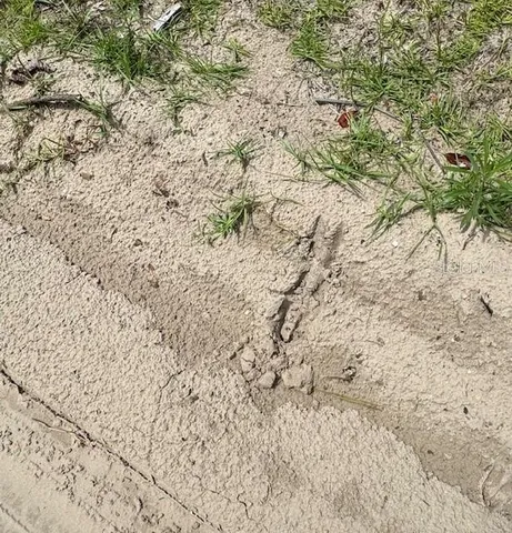 a view of a lake with a yard