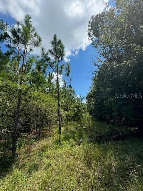 Southwest Coles Court Fort White, FL 32038 - Photo 10 of 34 a view of a garden