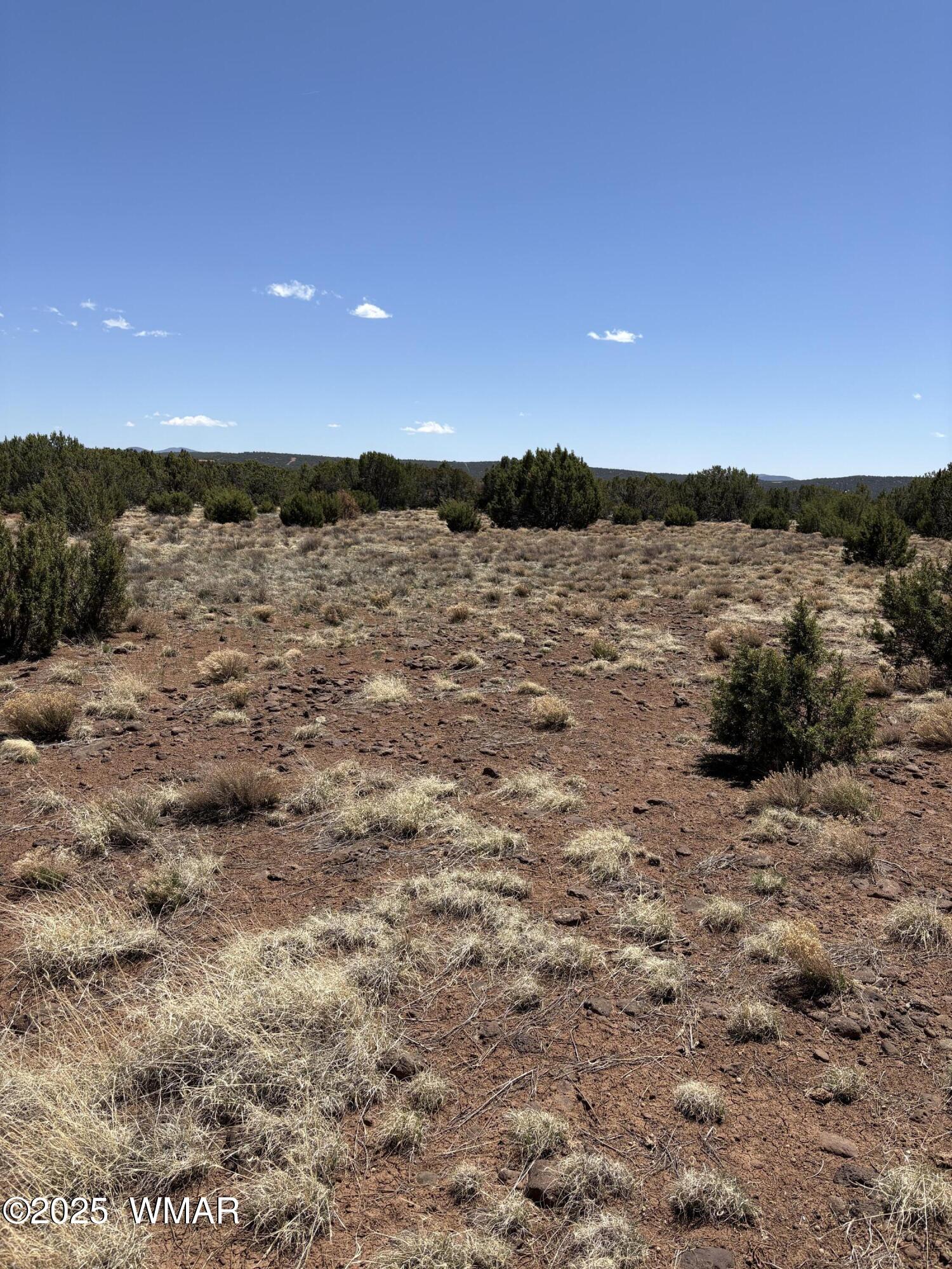 82 North 8368th Concho, AZ 85924 - Photo 4 of 7 site for a home