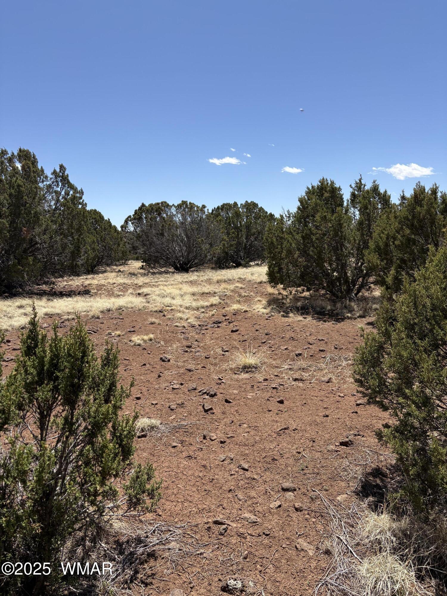 82 North 8368th Concho, AZ 85924 - Photo 5 of 7 Sky