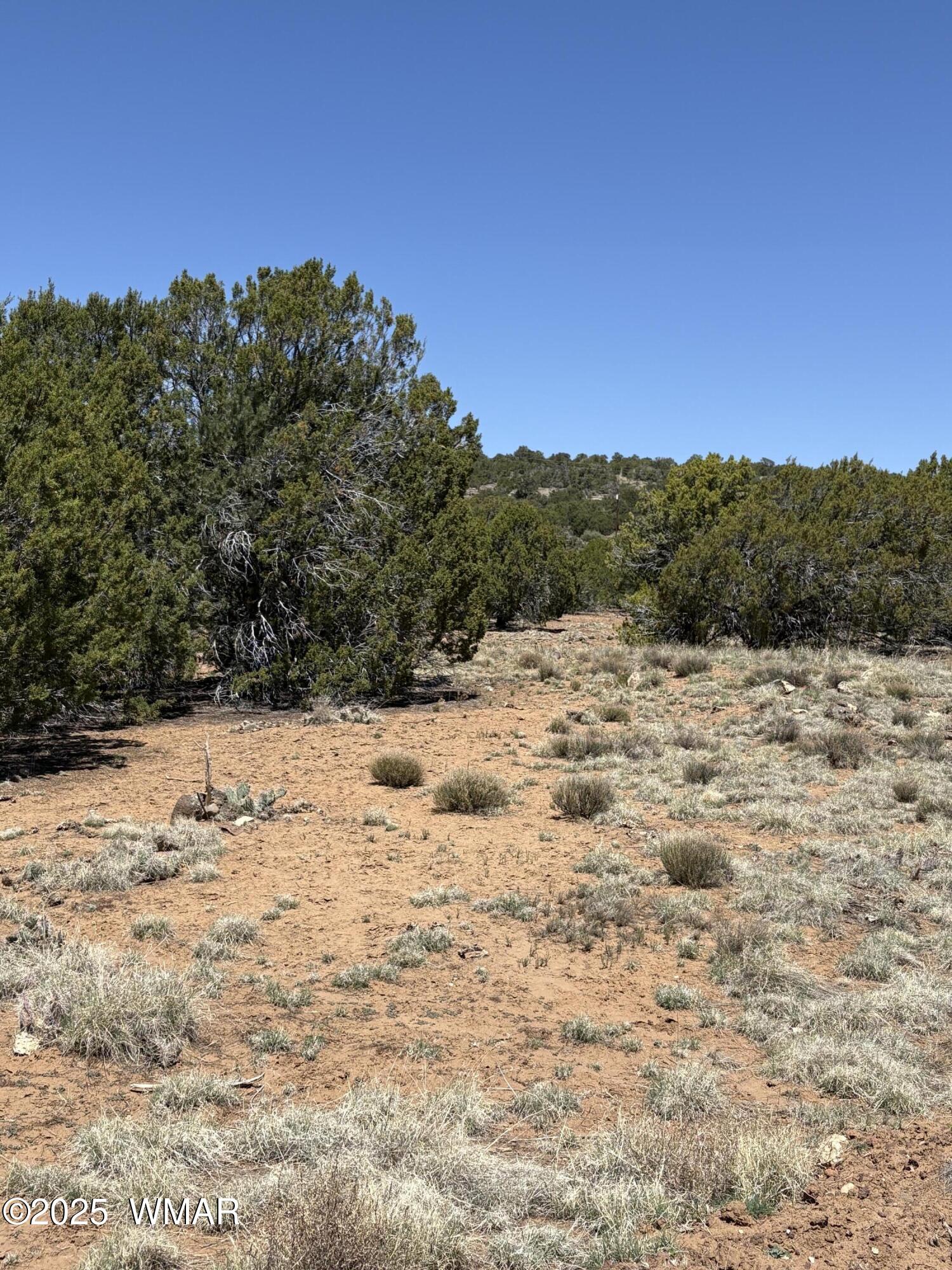 82 North 8368th Concho, AZ 85924 - Photo 6 of 7 Soft ground