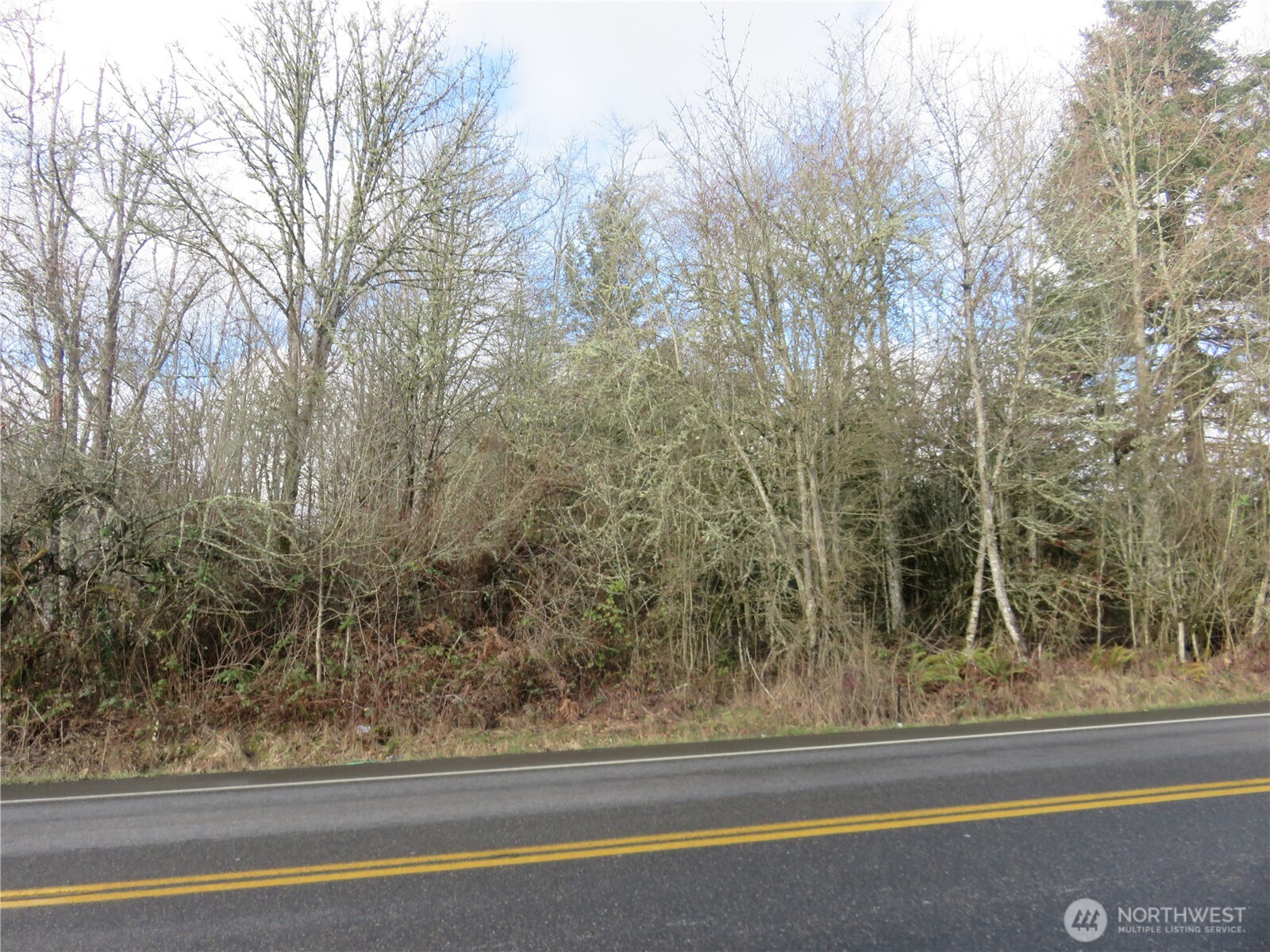 4223 Johnson Point Road Northeast Olympia, WA 98516 - Photo 3 of 16 Gallery Image 3